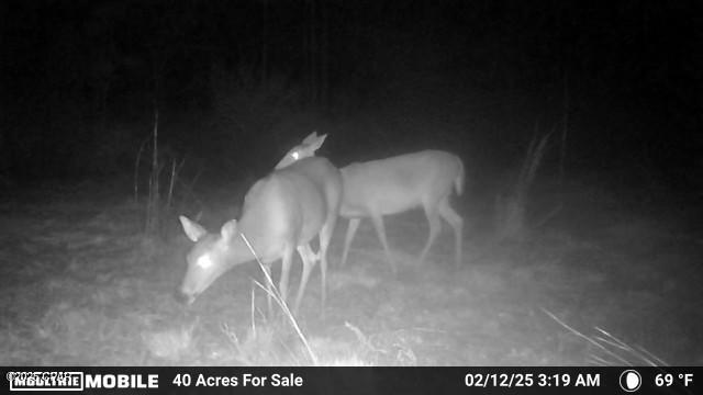 [No Recorded Subdiv] - Land