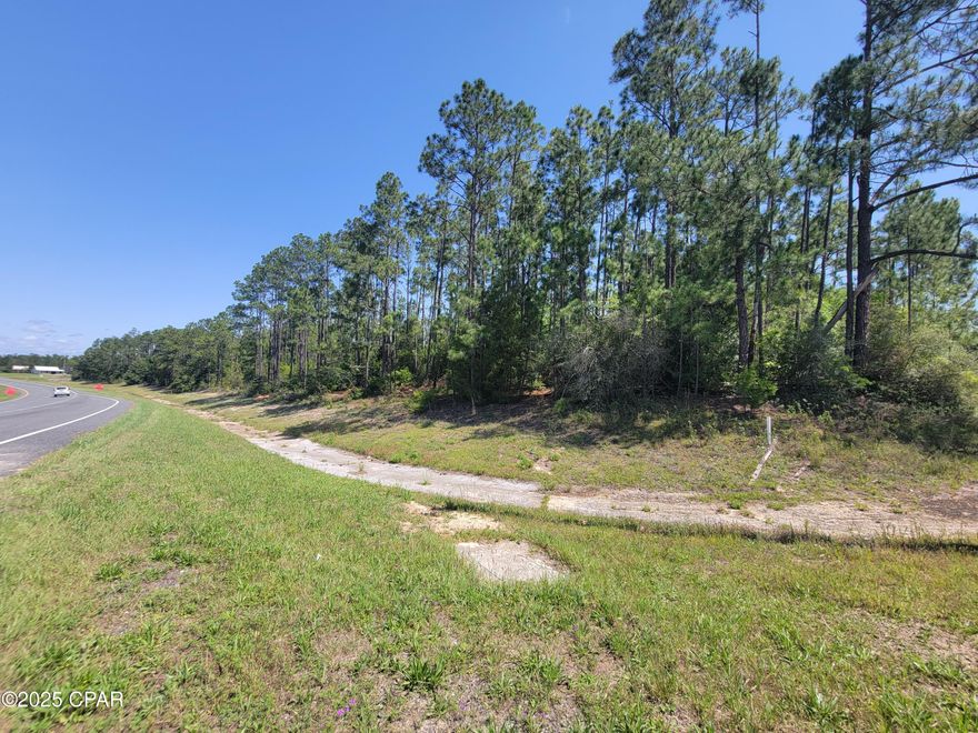 CURRENTLY UNDER CONTRACT, SELLER WILL CONSIDER BACKUP OFFERS

Prime Corner Lot on Highway 231 - High Visibility & Endless Potential!

Seize this rare opportunity to own a high-traffic corner lot at the intersection of Highway 231 and Lakepoint Road—the gateway to Compass Lake and just 37 miles from Panama City, FL. Conveniently located only minutes from Interstate 10, this high and dry parcel offers over 1000 ft of exceptional visibility on 231 and easy access, making it ideal for a variety of possible residential, commercial or investment uses.

With thousands of vehicles passing daily, the location is perfect for:

A much-needed gas station

Retail development

Billboard or advertising space

Or other high-exposure business ventures

Positioned near recreational hotspots and growing traffic flow, this land presents a strategic investment opportunity with long-term potential.

Don't miss out on this exceptional site with endless possibilities—schedule a viewing today!