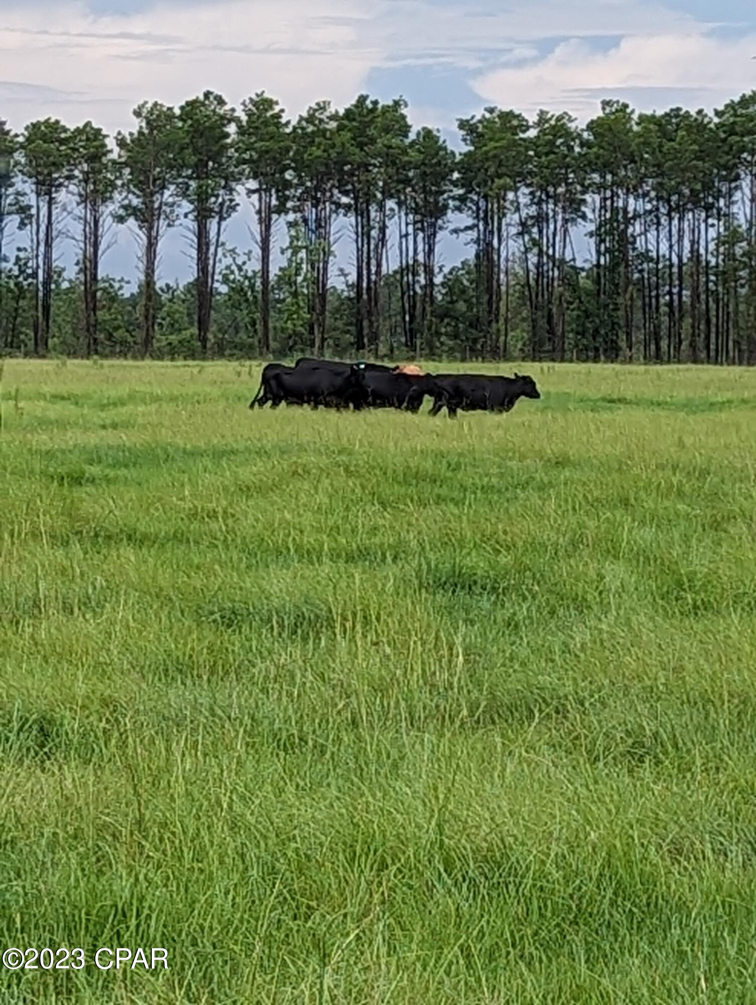 [No Recorded Subdiv] - Land