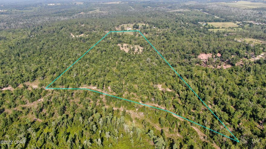 If a quiet country setting just outside Bay County is what you're looking for, this is it! This 22-acre parcel is partially cleared and ready for your homesite or farm. It sits on a paved road just minutes from Highway 231. Well is in place and power is available. According to FEMA Flood Map property is entirely within X-flood zone which means no flood insurance is required. You're only about 20 minutes from I-10 and less than an hour from the World's Most Beautiful Beaches! All measurements are approximate. Please verify if important.