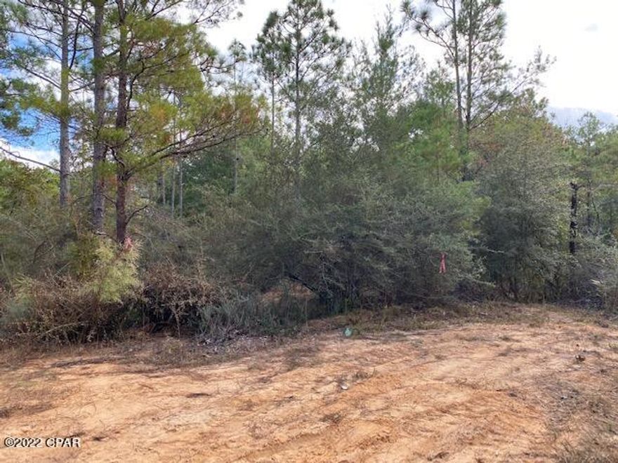 Nice piece of property to build on or put a trailer. At the end of a cul-de-sac.  Owners selling 7 other properties, MLS #'S  

The Owners will accept $110,800 for a package deal of all 8 listings. Great investor opportunity. The other 7 properties are MLS #733946, #733948, #733949, #733951, #733952, #733953, #733954