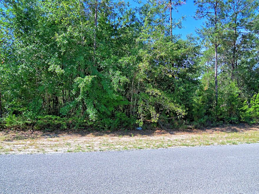 Lovely building lot in popular White Oaks Subdivision just North of Lynn Haven. No HOA fees, nicely kept neighborhood, large lots, almost an acre. Lot appears to have very nice, mature hardwood trees and is in flood zone ''X'' - flood insurance is not mandatory! Paved roads - great area! Close to town and close to the airport! (all sizes approximate and taken from public records, buyer to verify any details buyer deems important).