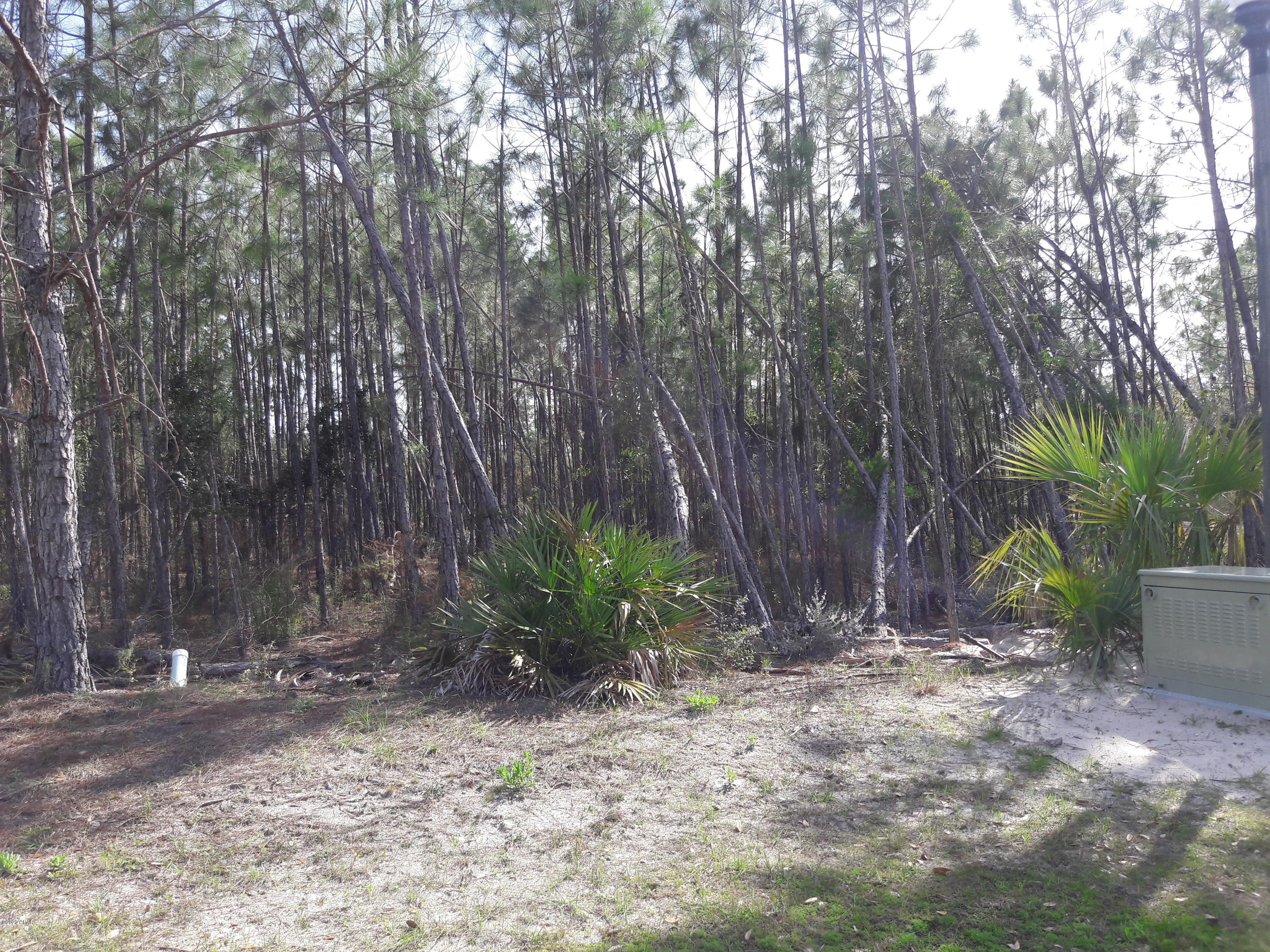 Martinique Phase II - Land