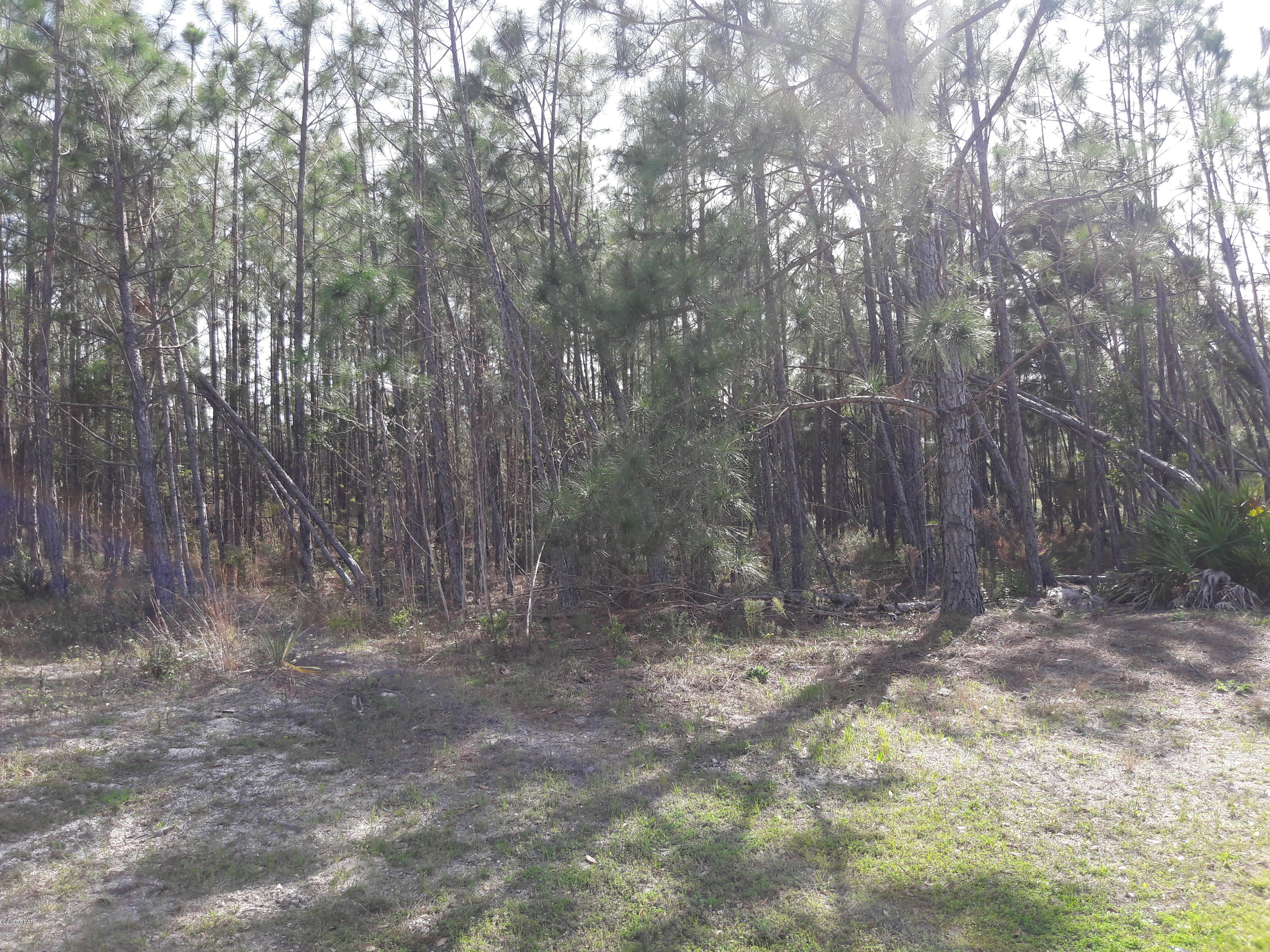 Martinique Phase II - Land