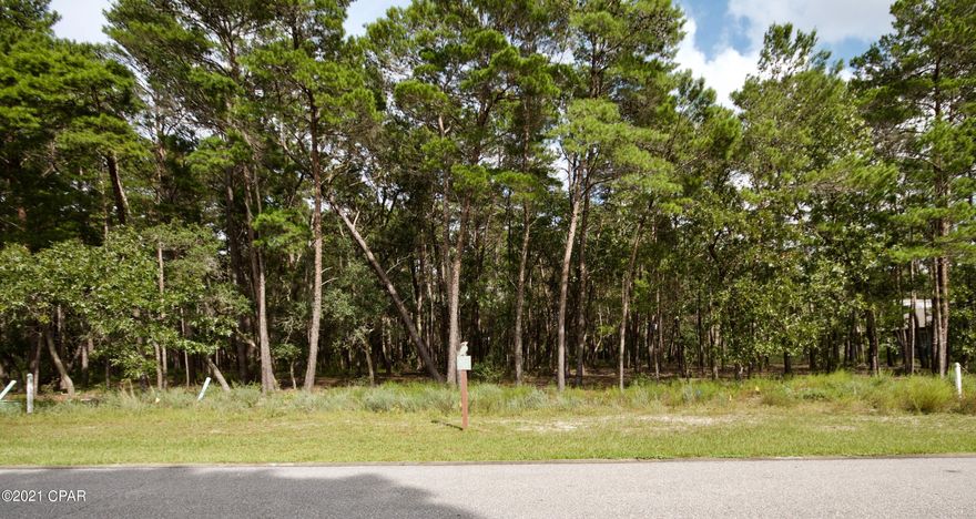 Welcome to Wild Heron a breathtaking gated community on the shores of Lake Powell, the largest coastal dune lake in the country.  This lot is situated on the 10th fairway of the Greg Norman designed Shark's Tooth Golf Club. Design and Build your Custom Craftman Style Home in this amazing community and enjoy Nature Trails, Heated Pool, Private Gym, The Boathouse with Kayaks and Canoes, Private Dock, the Fire Pit on the Lake, and Community Events.Come build and live in a ''Coastal Sanctuary'' located  near Watersound.