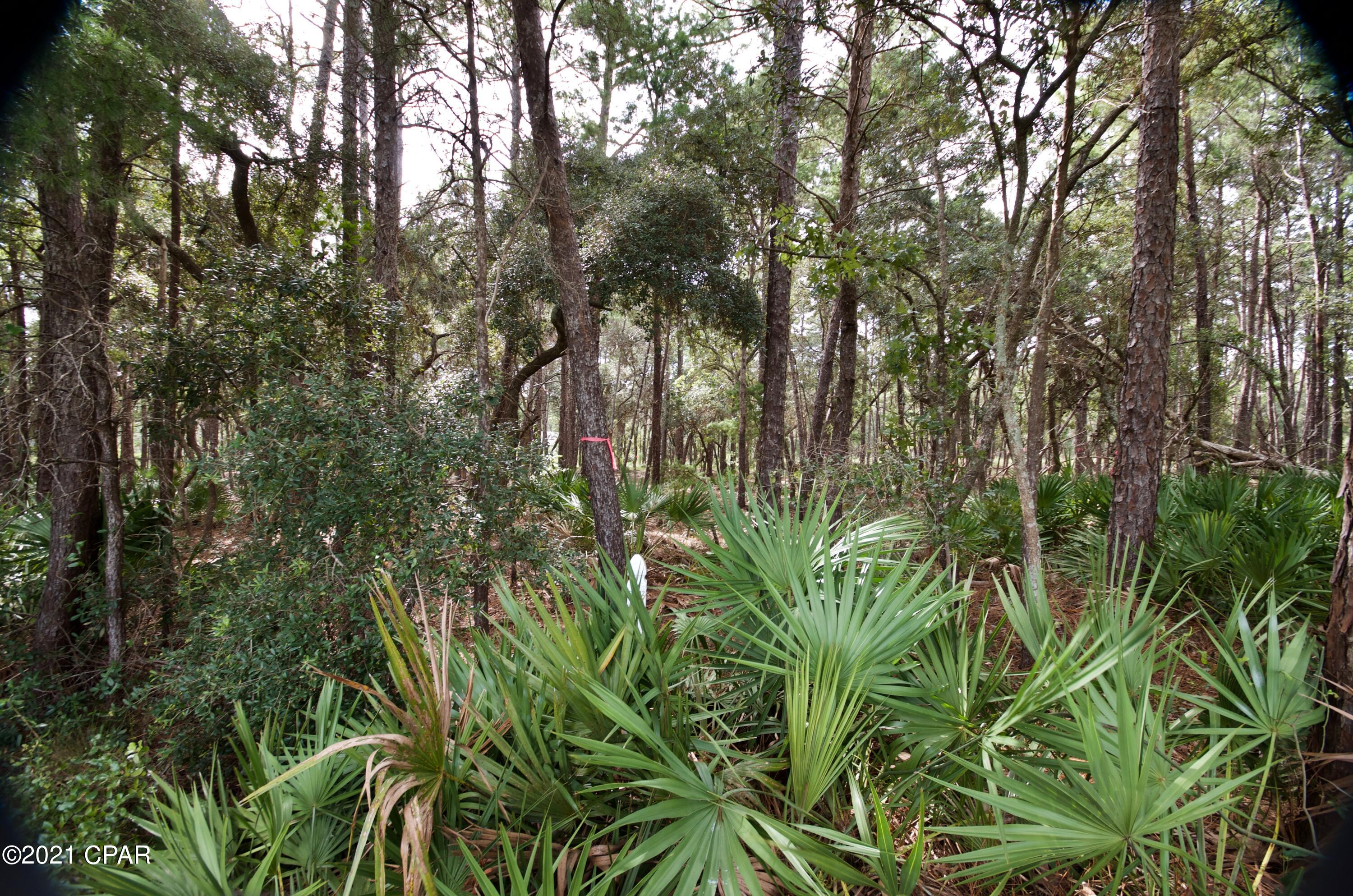 Wild Heron Phase III - Land