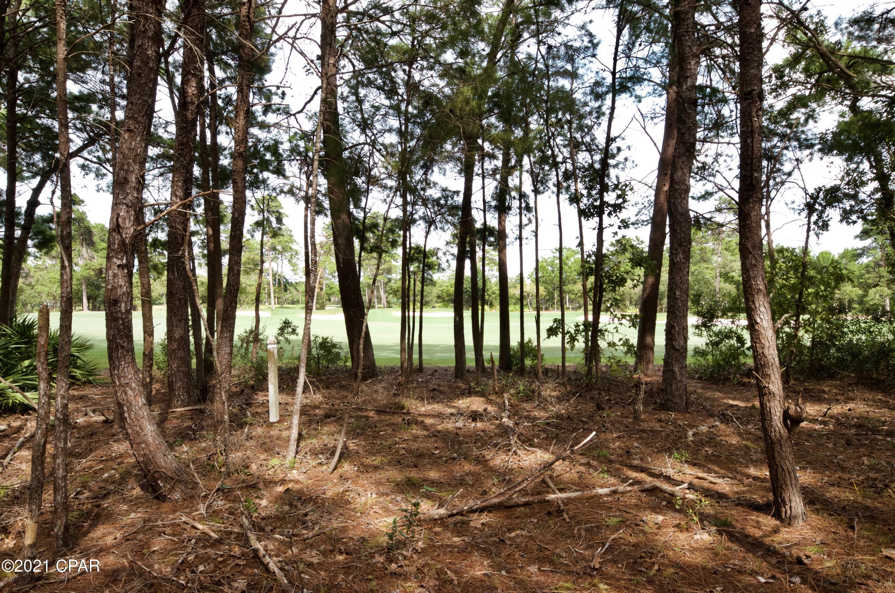 Wild Heron Phase III - Land