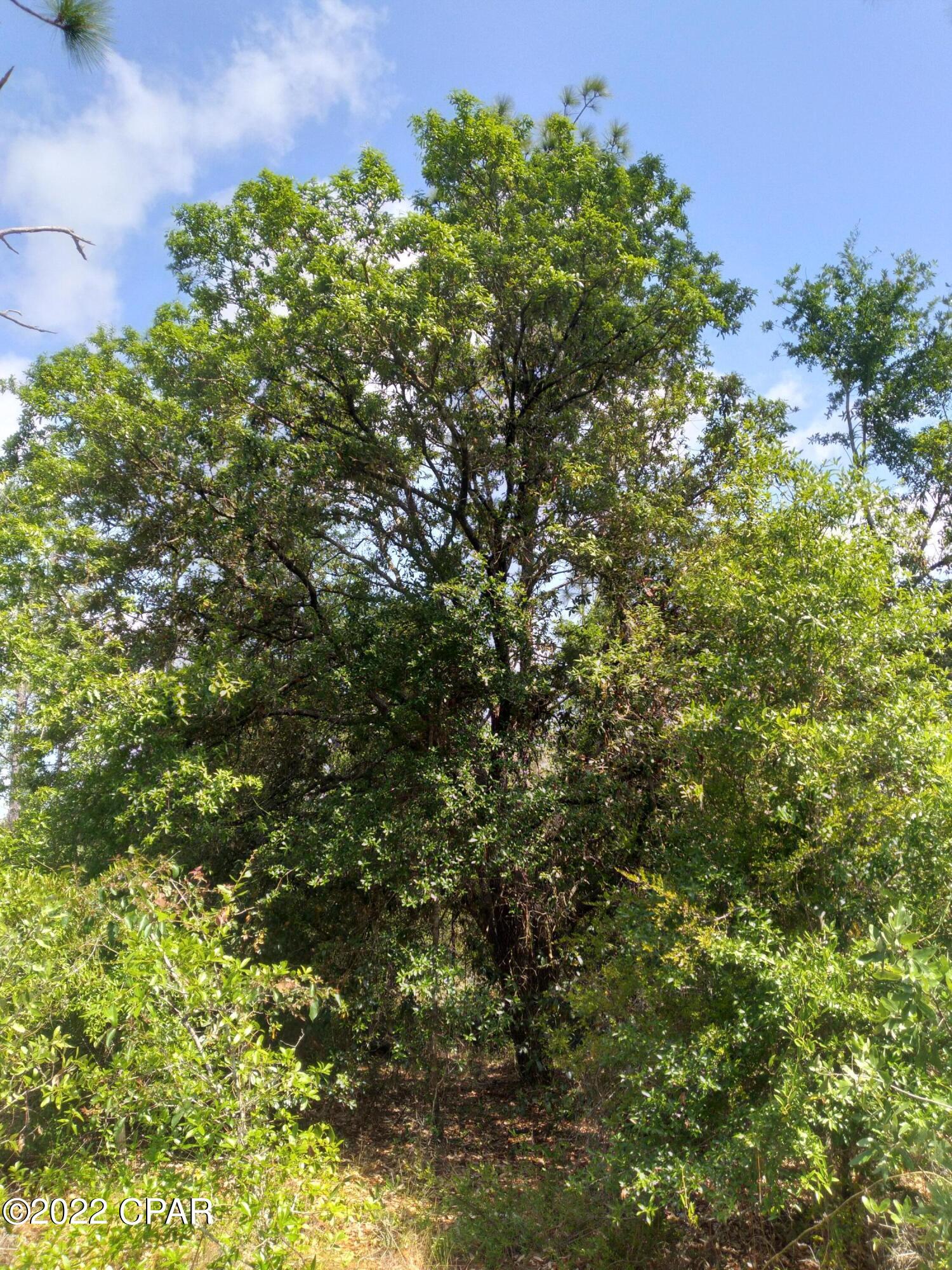 Leisure Lakes 1st Add - Land