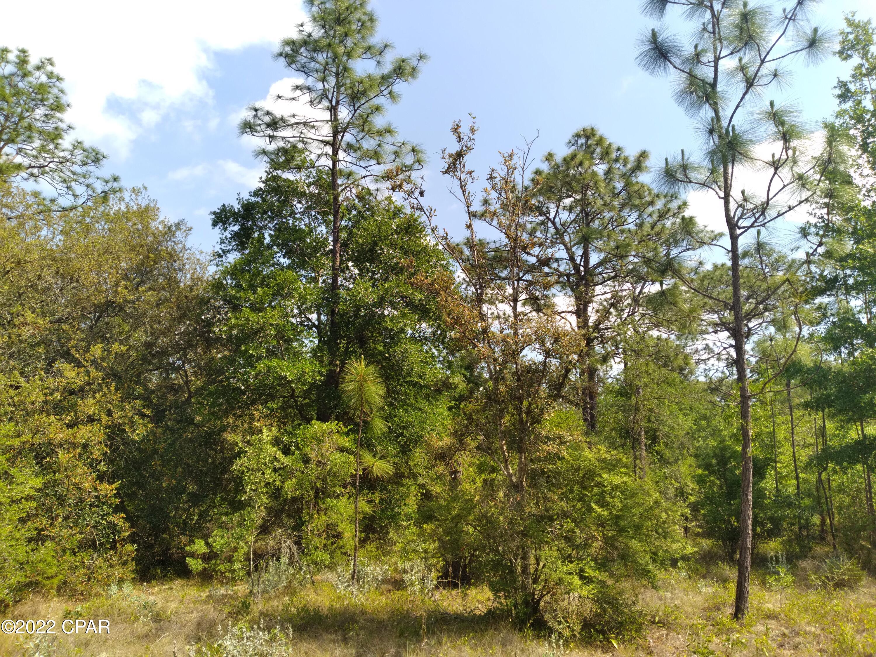 Leisure Lakes 1st Add - Land