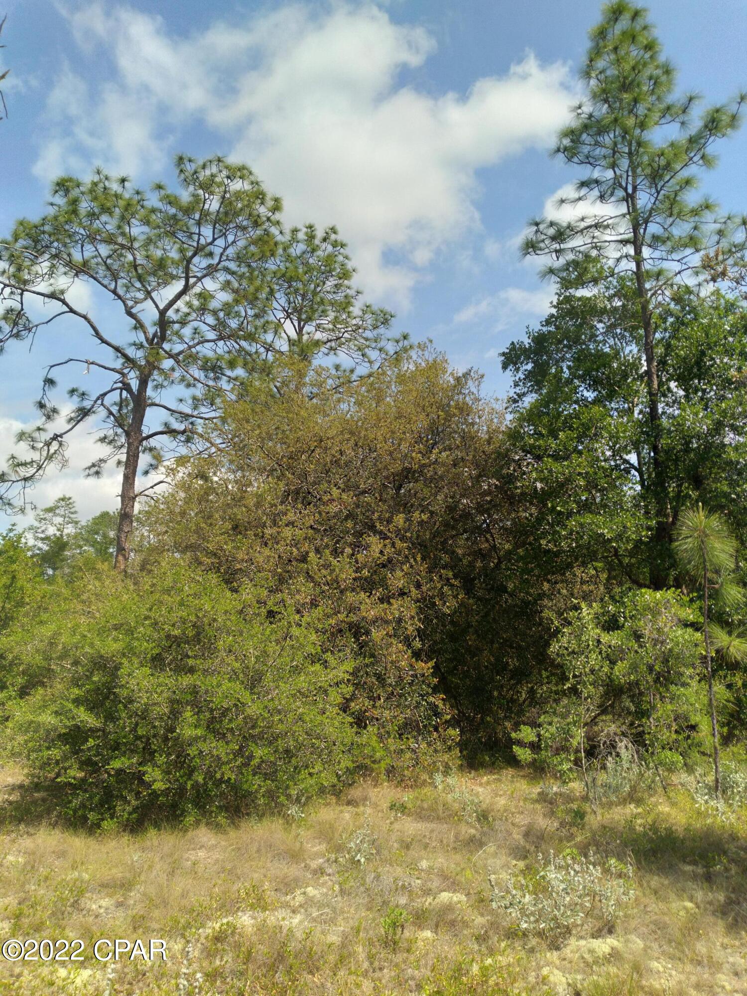 Leisure Lakes 1st Add - Land