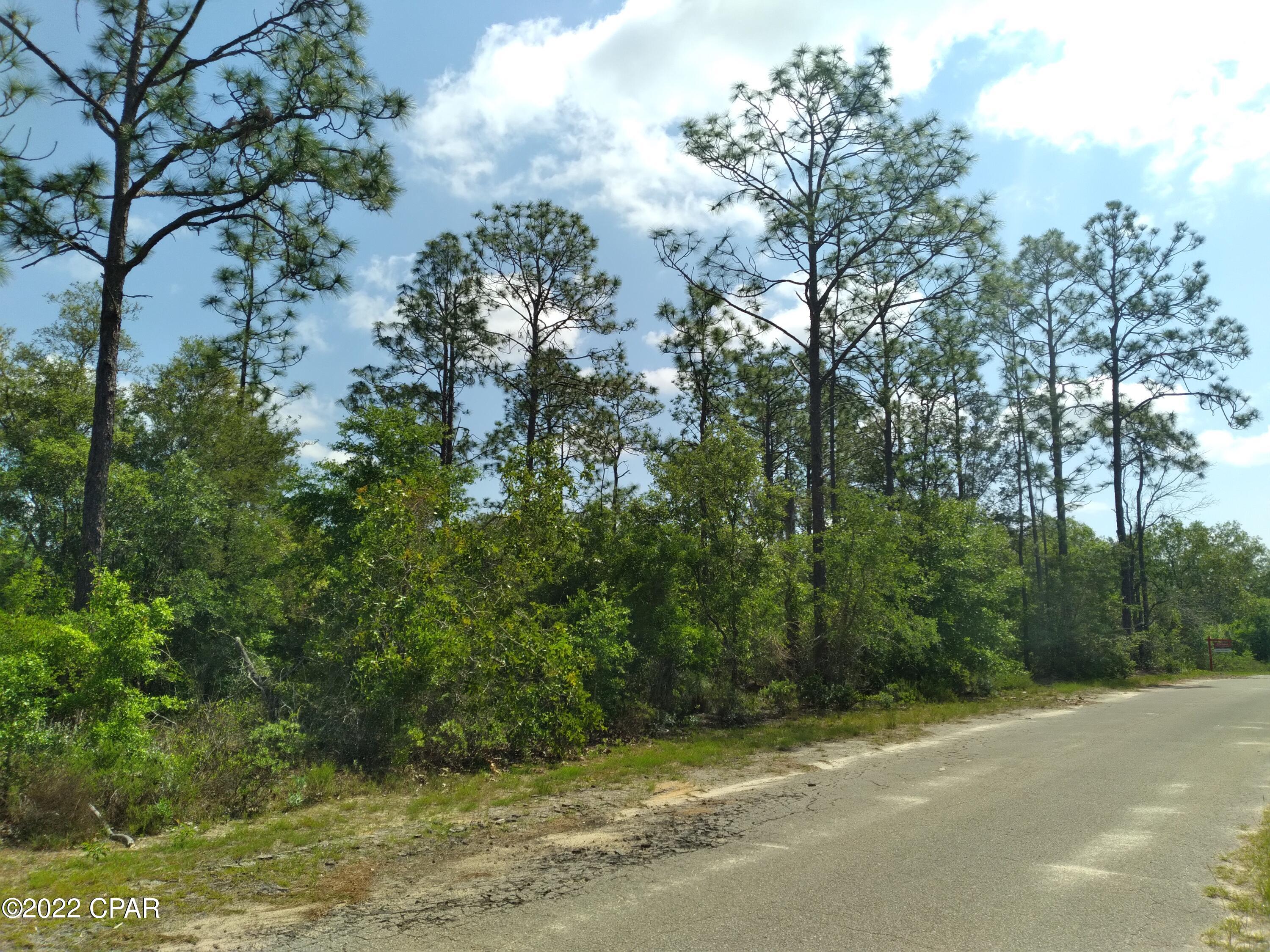 Leisure Lakes 1st Add - Land