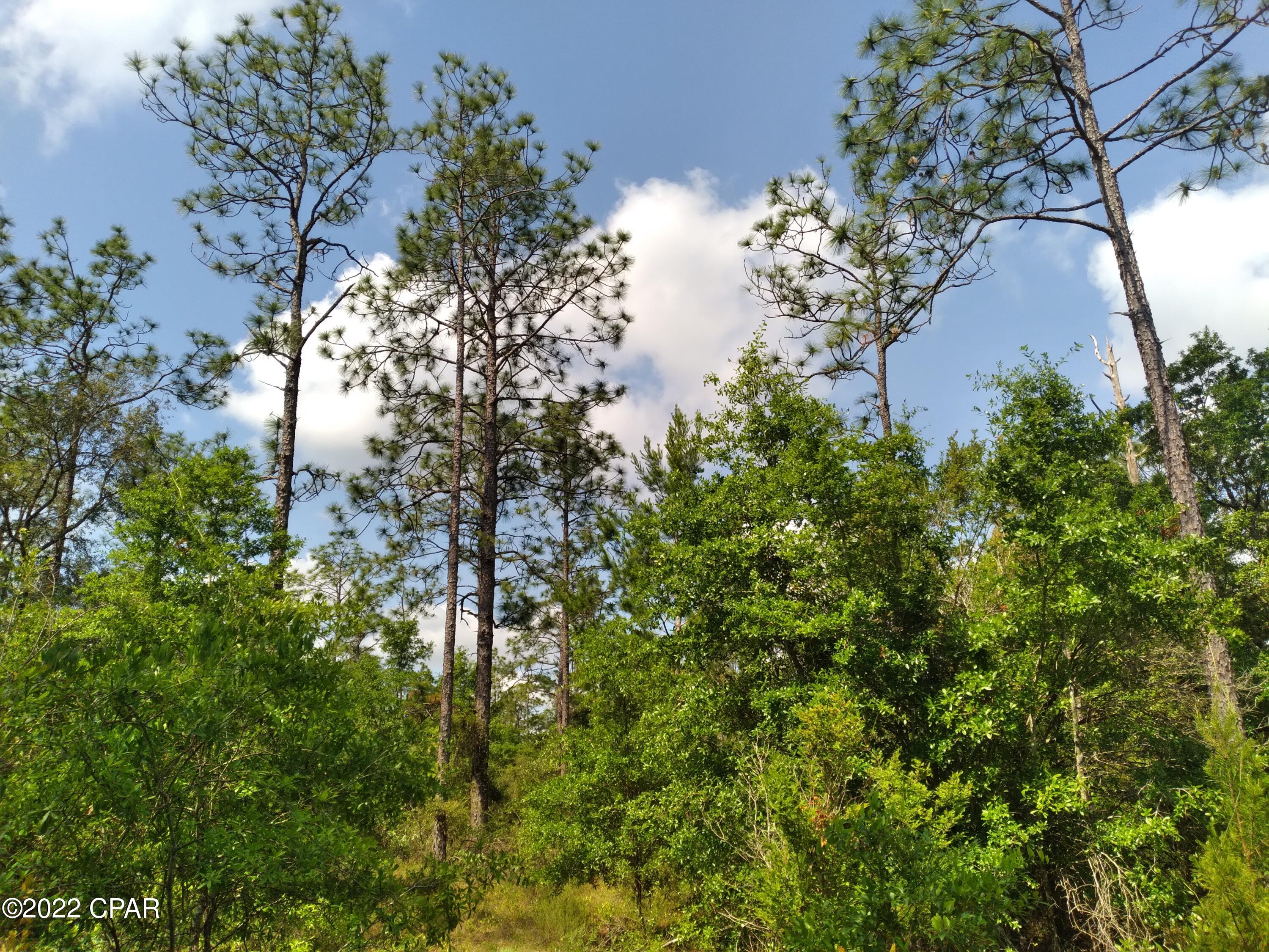 Leisure Lakes 1st Add - Land