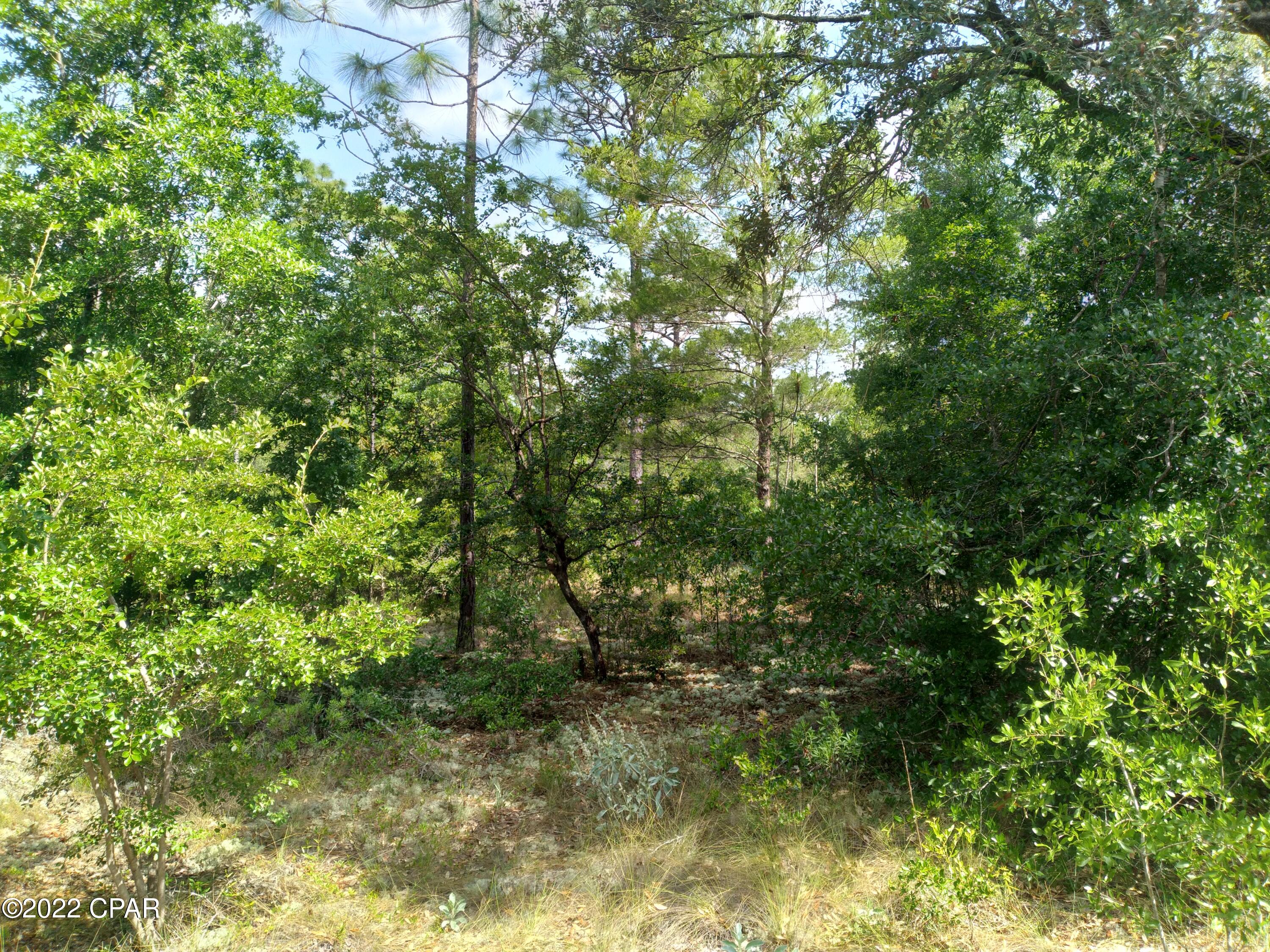 Leisure Lakes 1st Add - Land