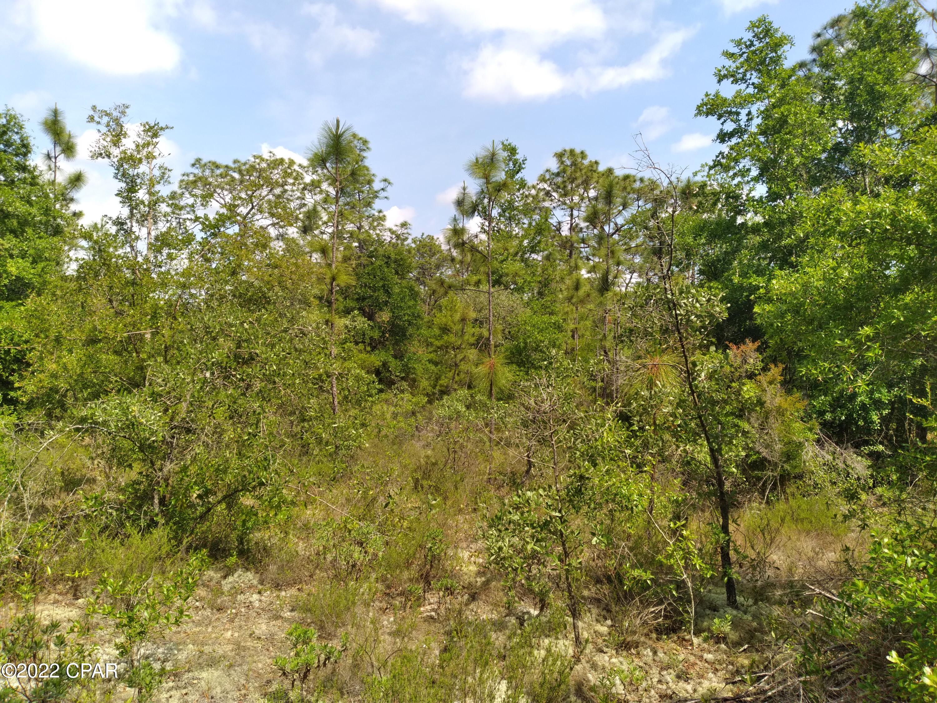 Leisure Lakes 1st Add - Land