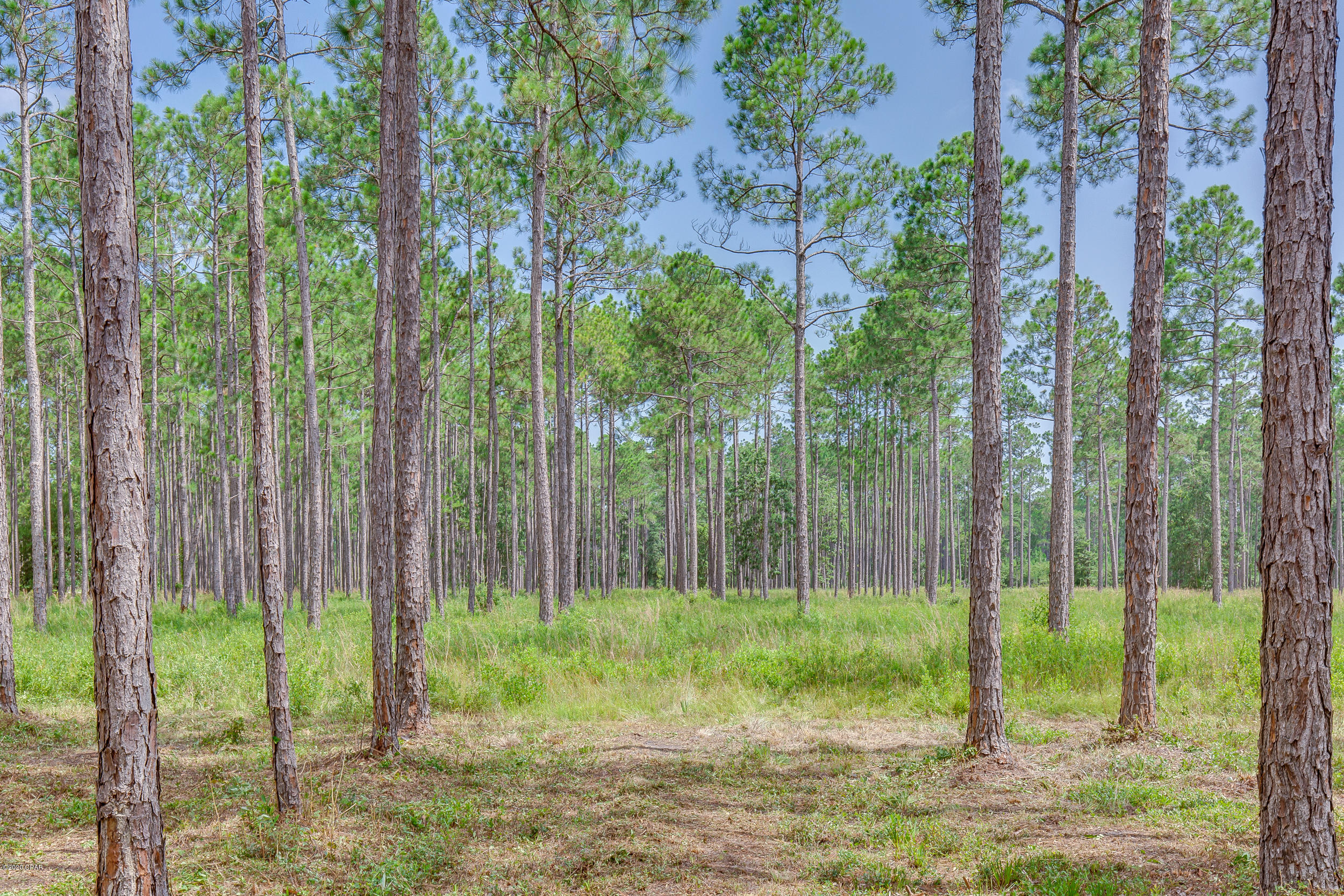 Rivercamps On Crooked Creek - Residential