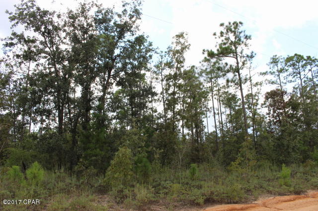 Buckhorn Creek - Land