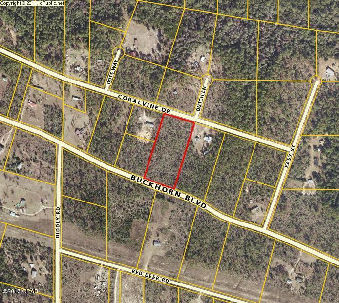 Buckhorn Creek - Land