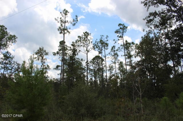 Buckhorn Creek - Land