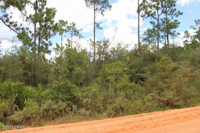 Buckhorn Creek - Land