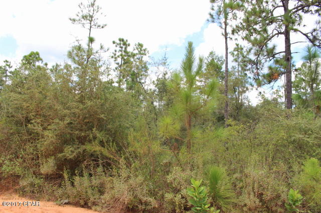 Buckhorn Creek - Land