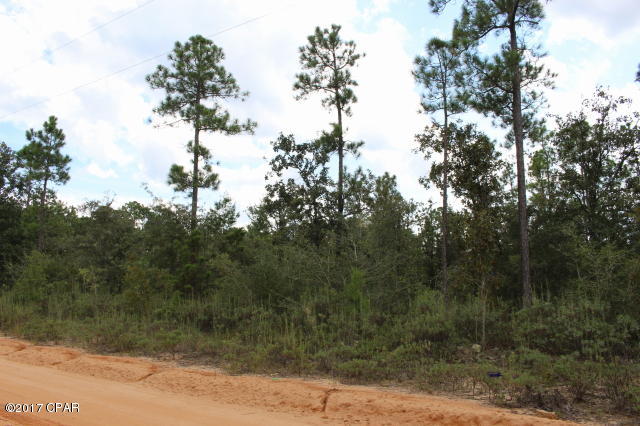 Buckhorn Creek - Land