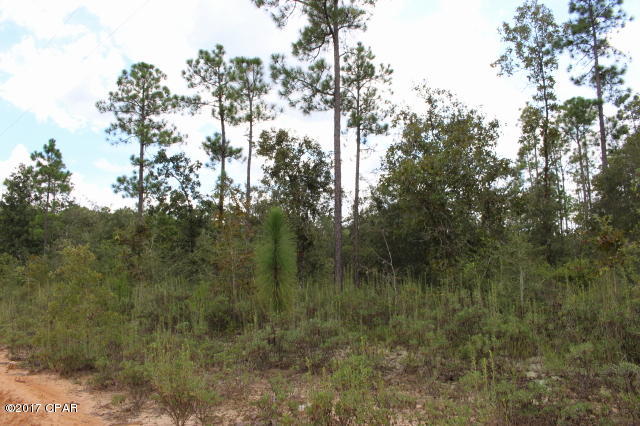 Buckhorn Creek - Land