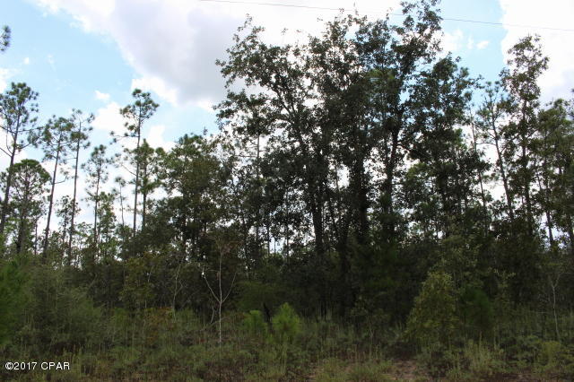 Buckhorn Creek - Land