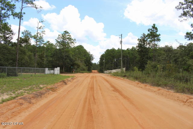Buckhorn Creek - Land