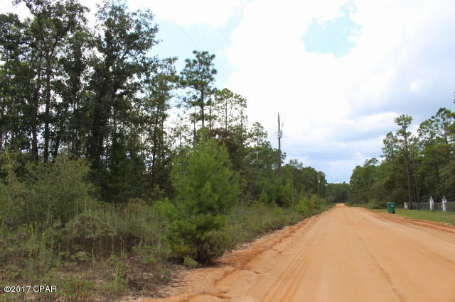 Buckhorn Creek - Land