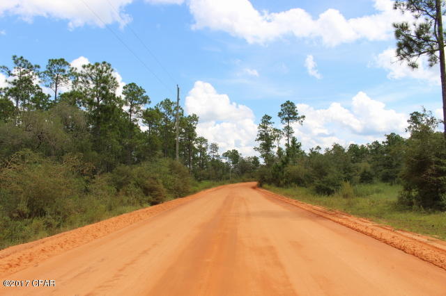 Buckhorn Creek - Land