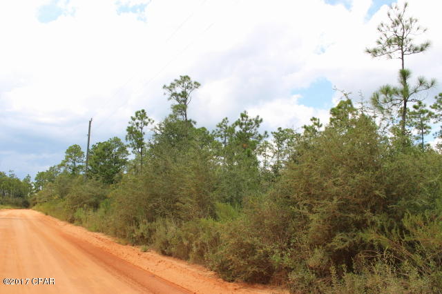 Buckhorn Creek - Land