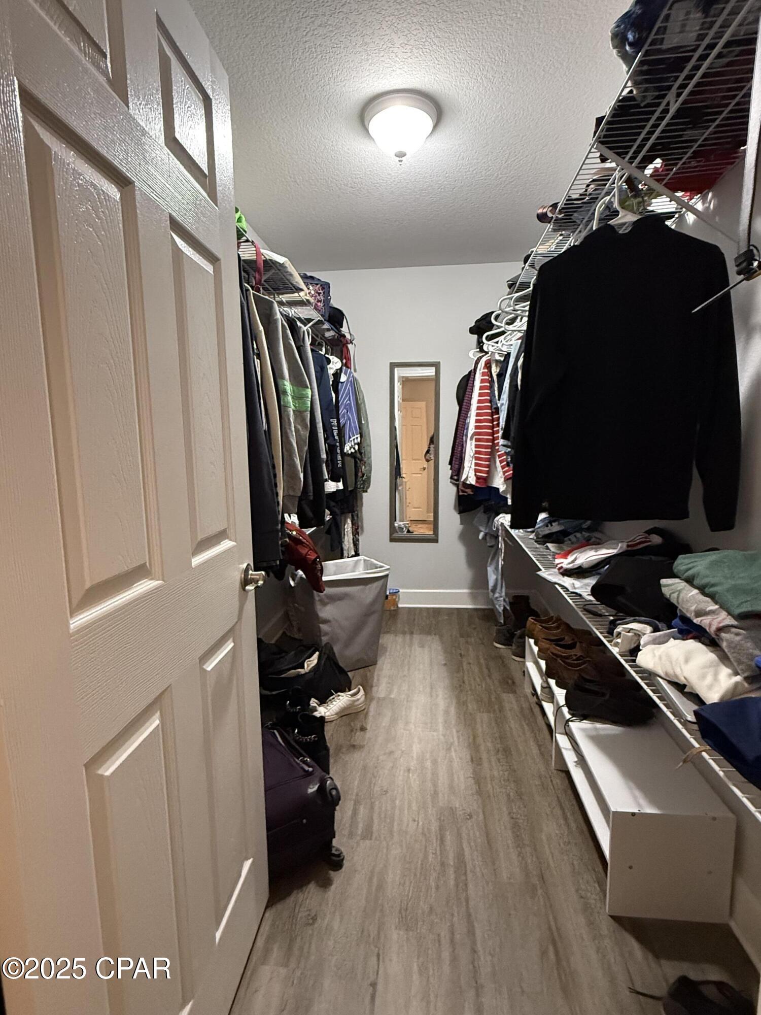 Cypress Tree - Residential