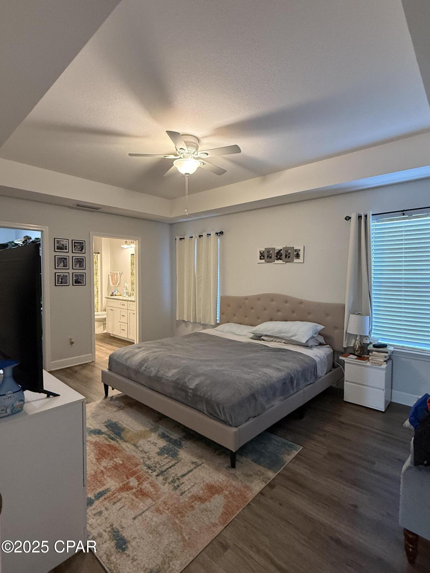 Cypress Tree - Residential