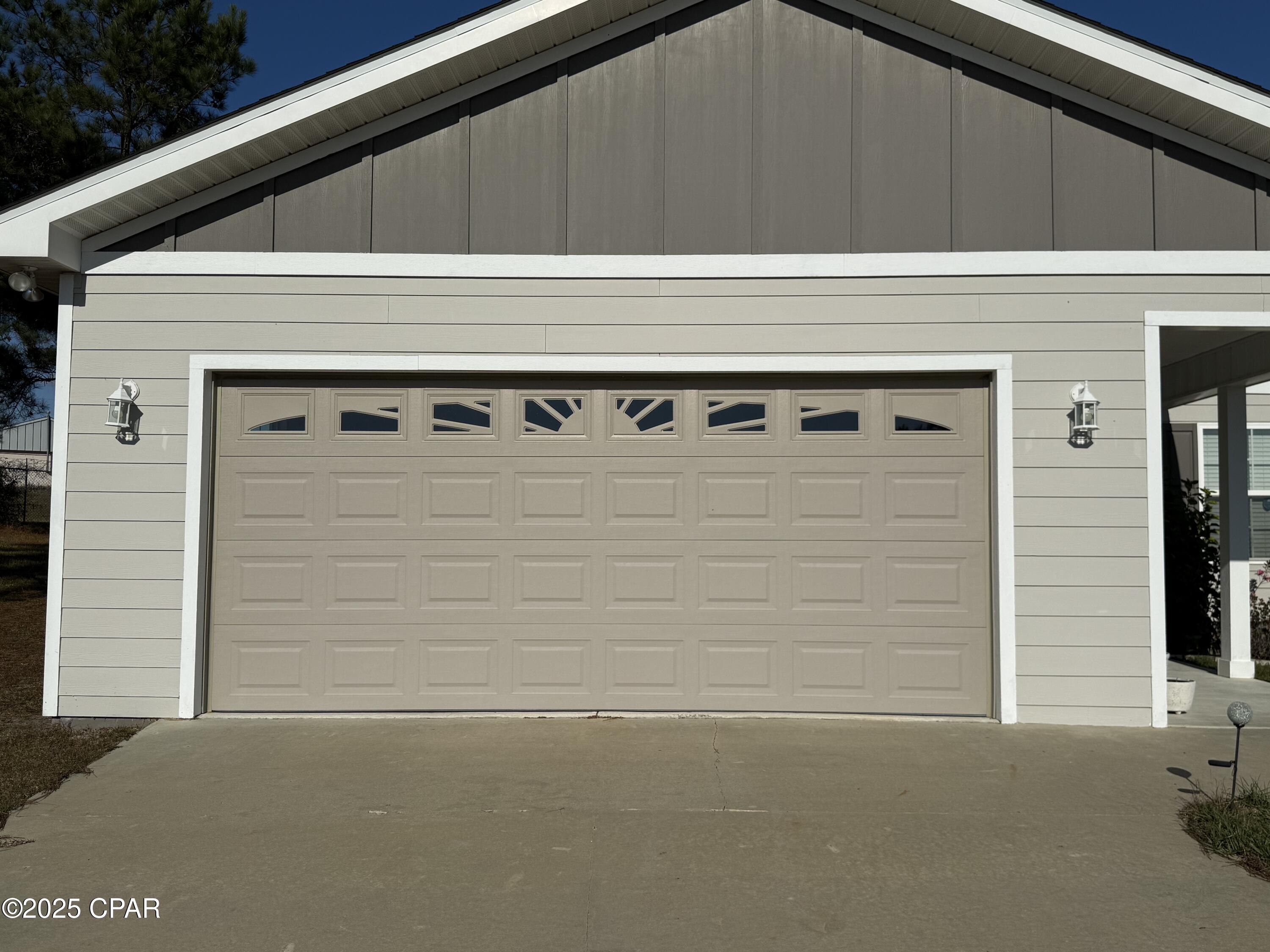 Cypress Tree - Residential