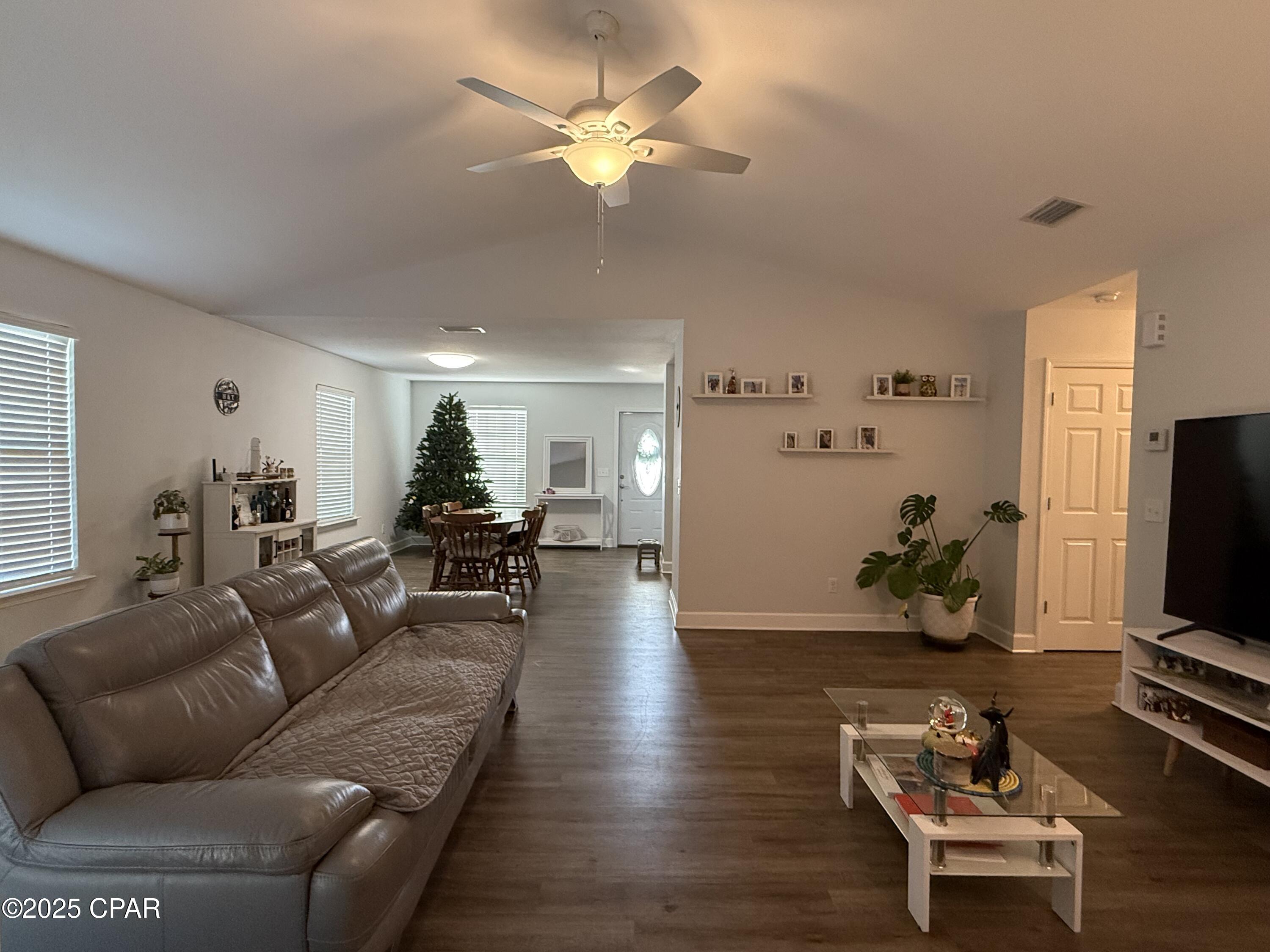 Cypress Tree - Residential