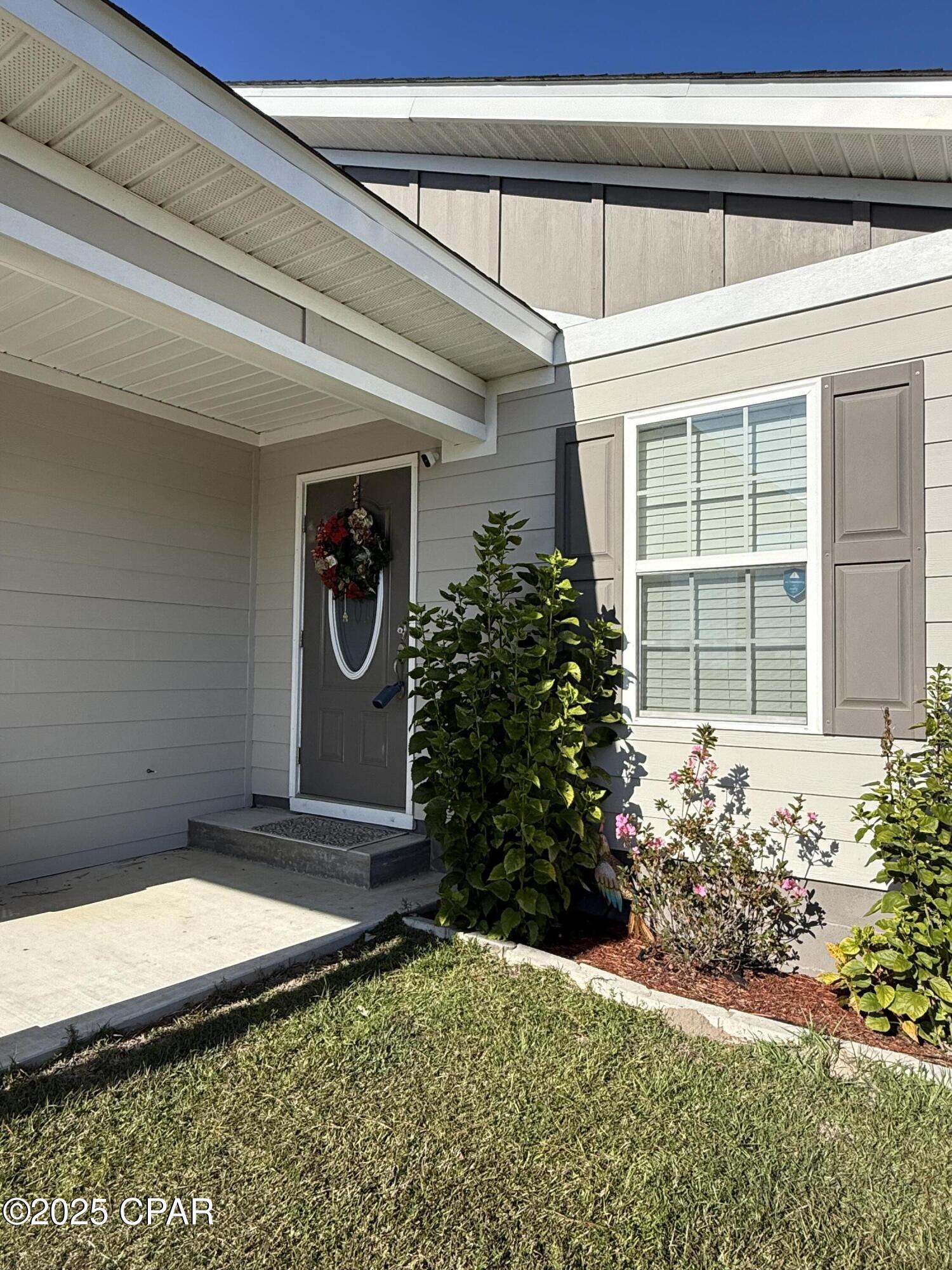 Cypress Tree - Residential