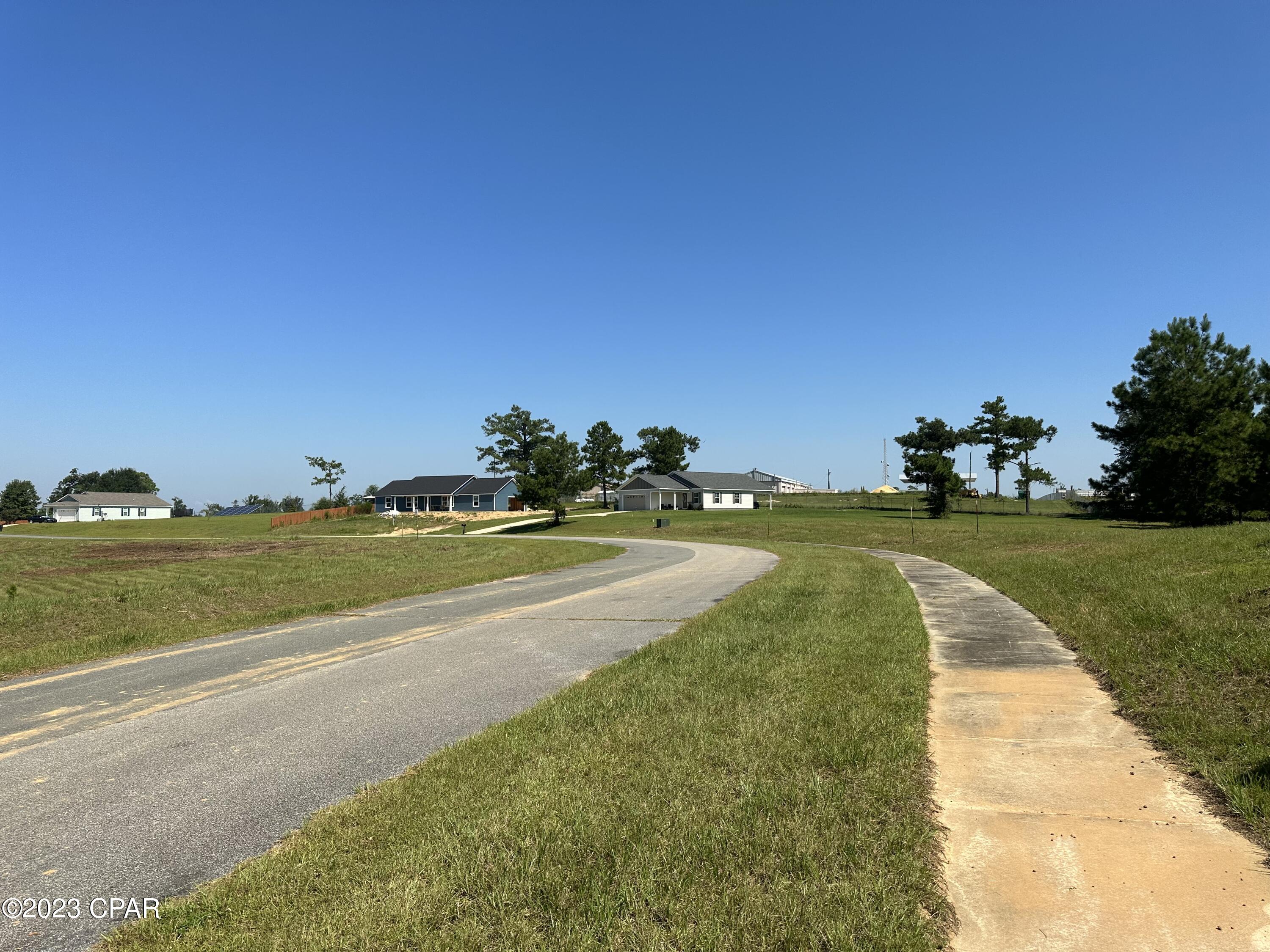 Cypress Tree - Residential