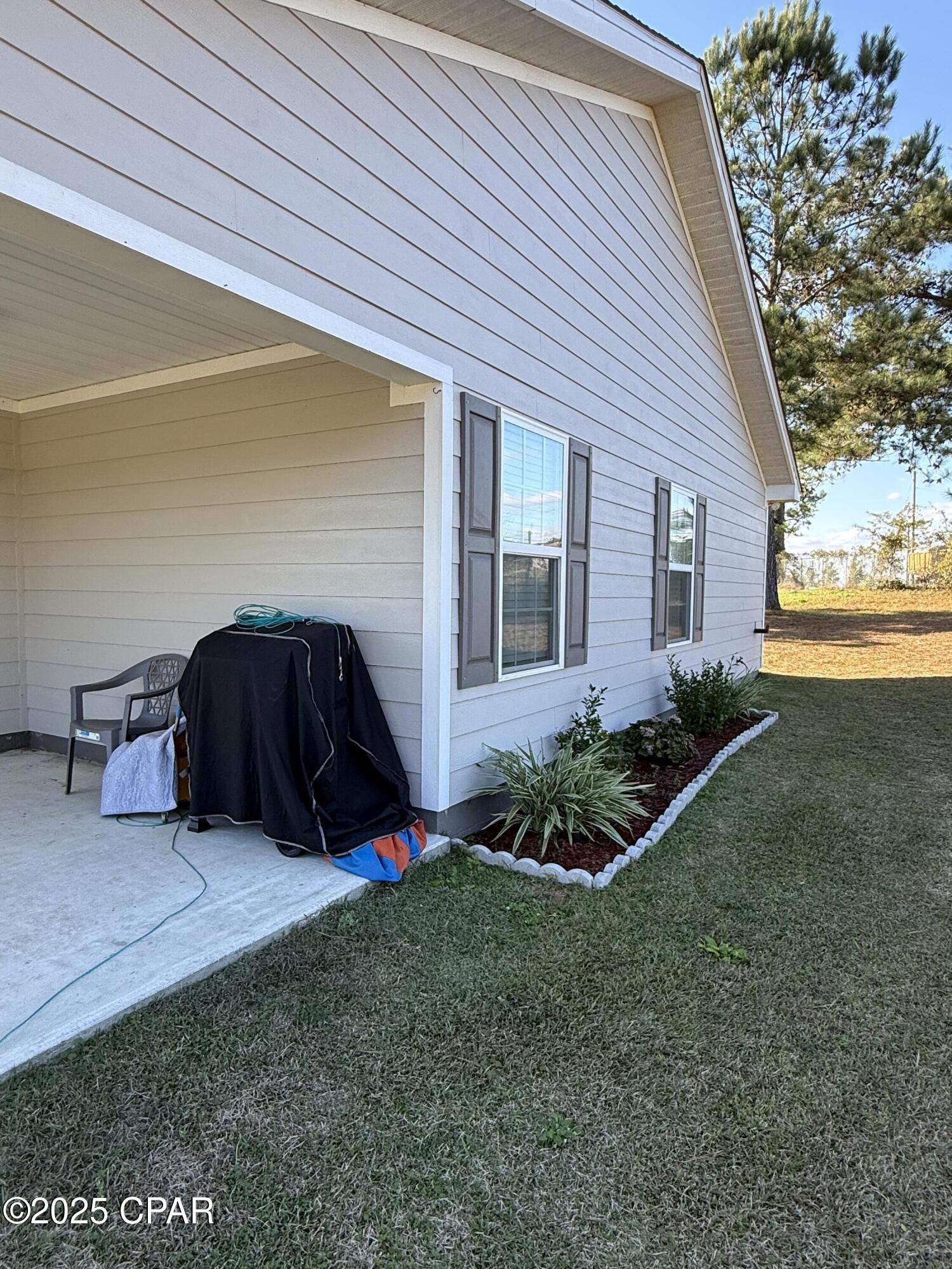 Cypress Tree - Residential