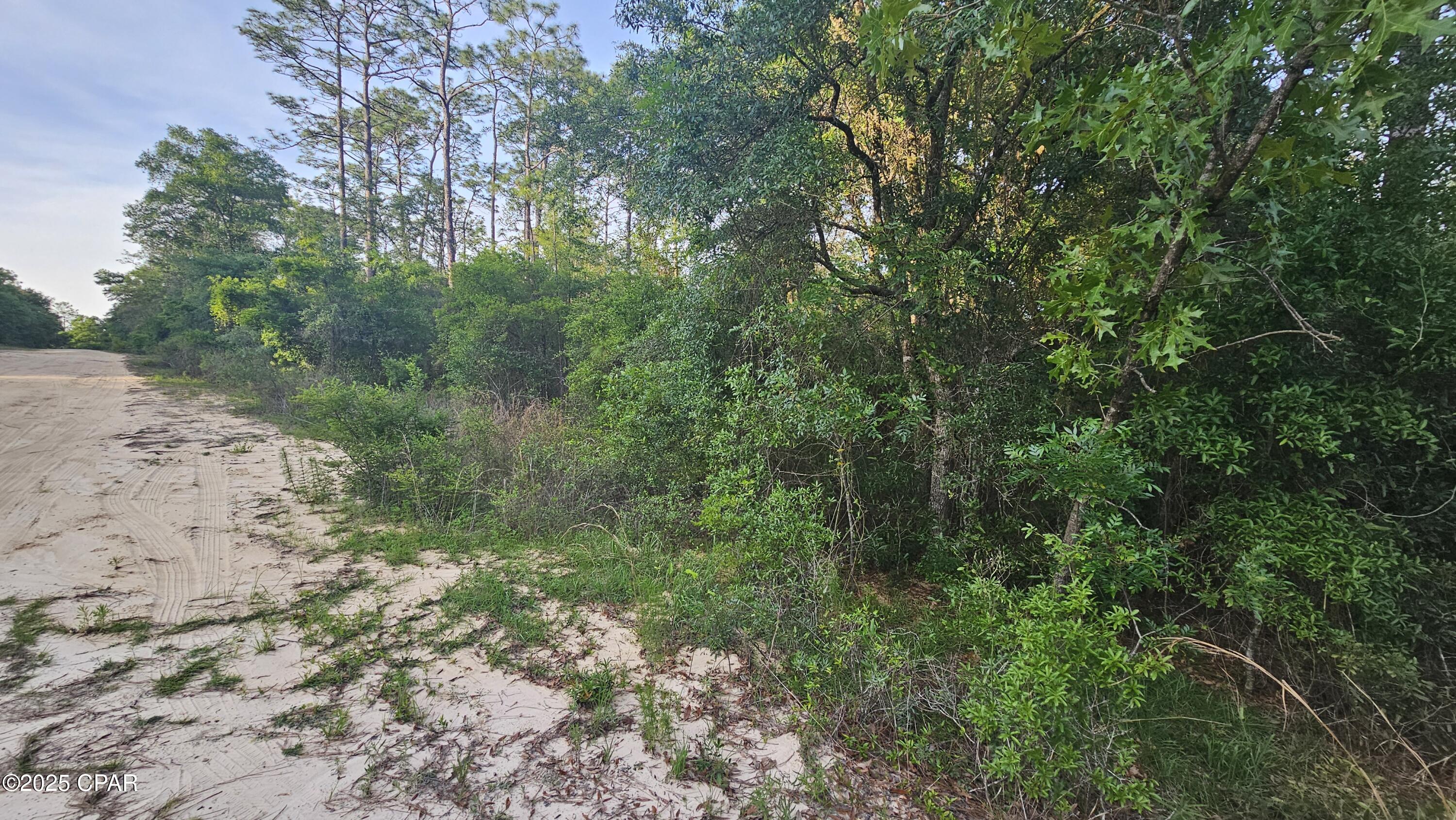 Paradise Lakes - Land