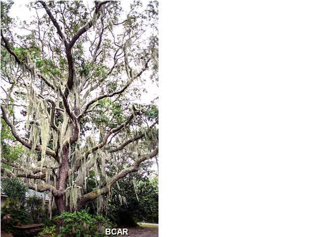 Kings Point - Residential