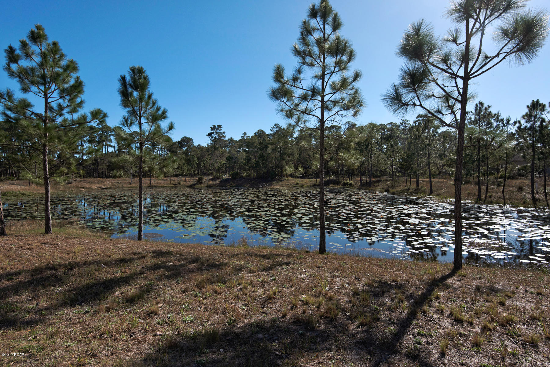 Wild Heron Phase VI - Residential