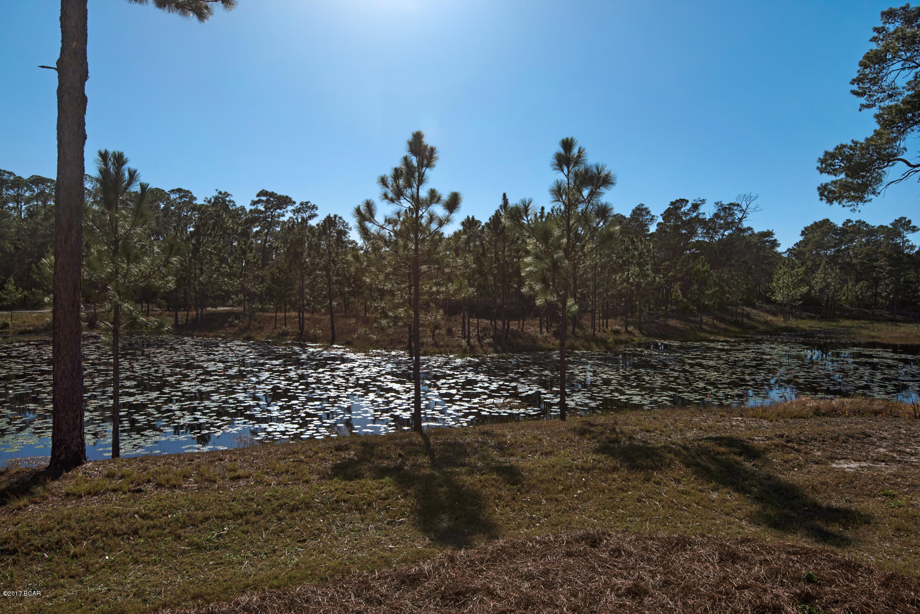 Wild Heron Phase VI - Residential