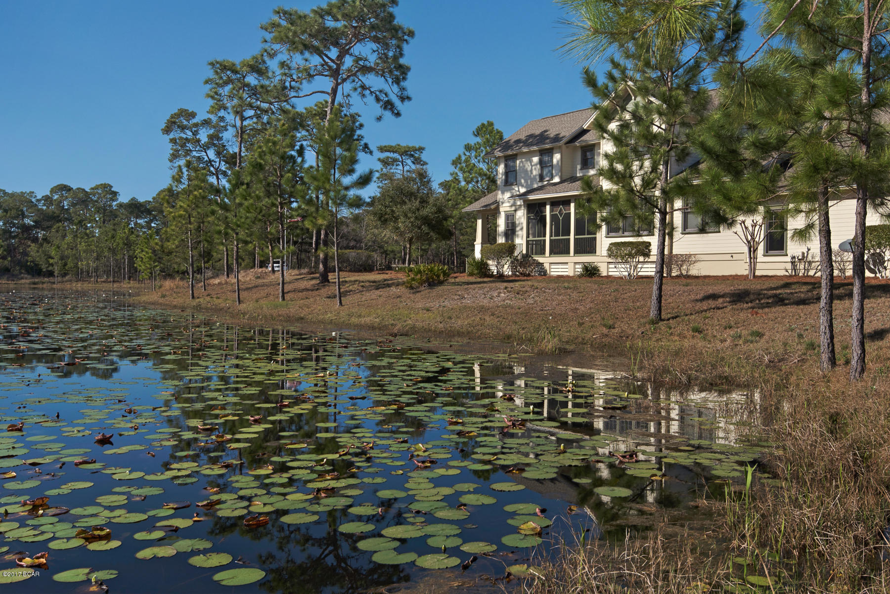 Wild Heron Phase VI - Residential