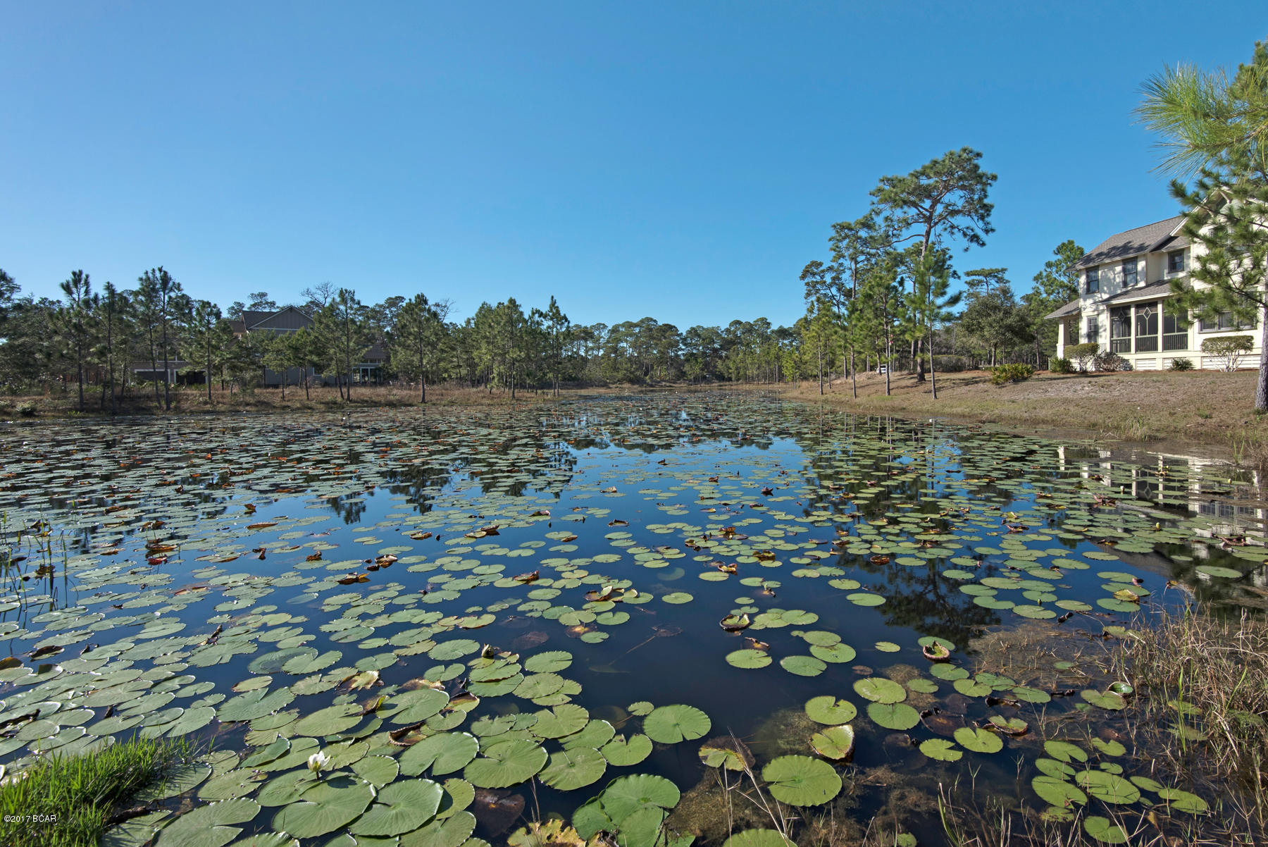 Wild Heron Phase VI - Residential