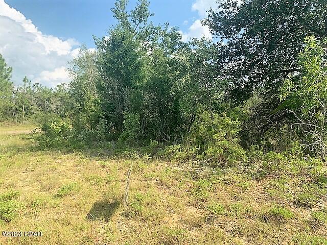 Sunny Hills Unit 11 - Land