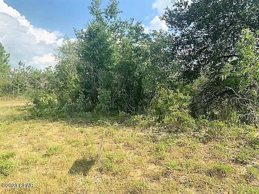 Want a remote location to build your new home? This may be for you! This corner Lot is located on the outskirts of growing subdivision Sunny Hills , and backs up to conservation land. Centrally located only 45 miles to the Worlds Most Beautiful Beaches in Panama City, FL  and 50 miles from Dothan ALabama. Go look and make an offer today!
There are deed restrictions (attached).