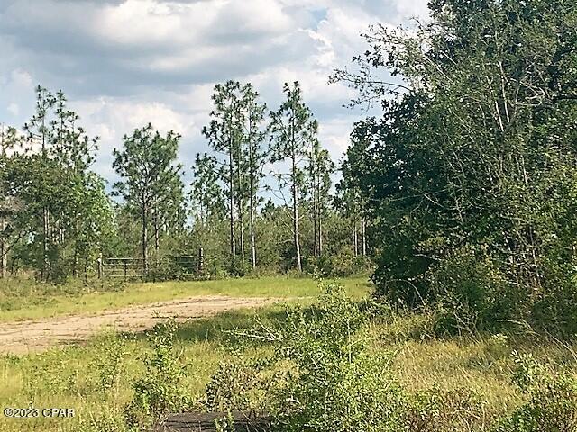 Sunny Hills Unit 11 - Land