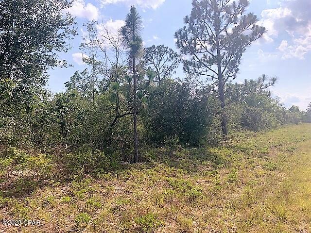 Sunny Hills Unit 11 - Land