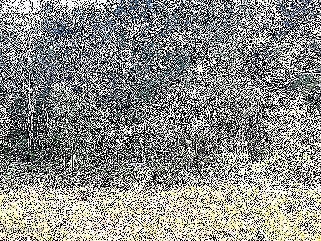 Sunny Hills Unit 11 - Land