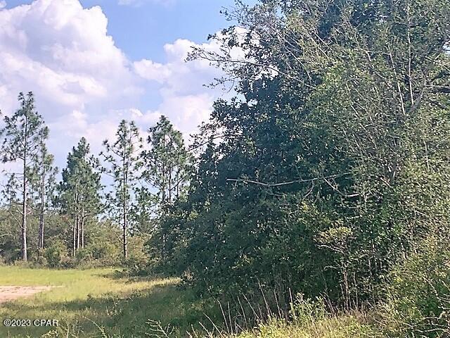 Sunny Hills Unit 11 - Land